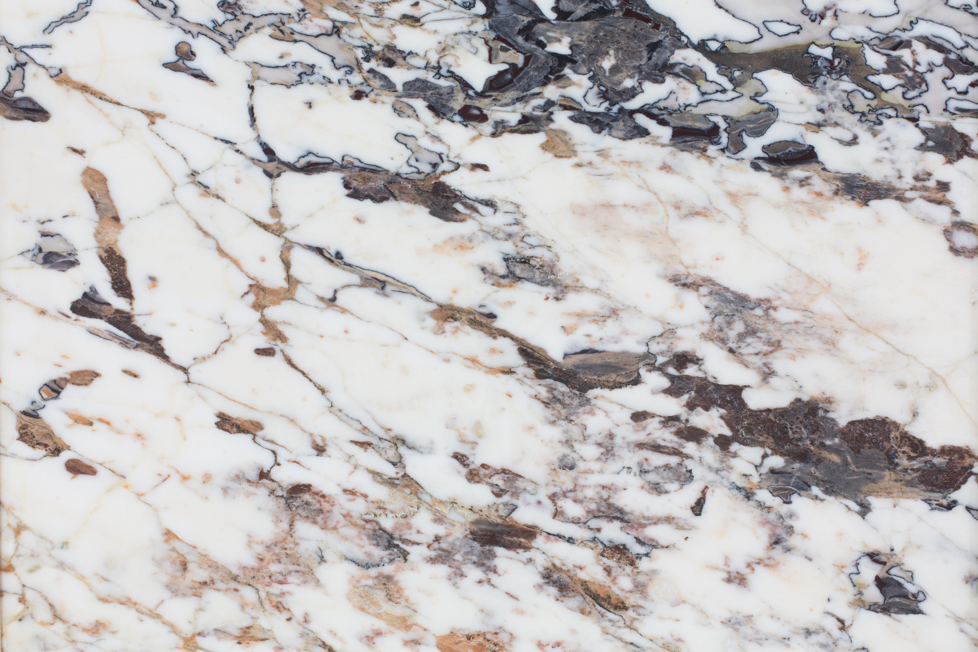 Breccia Capraia