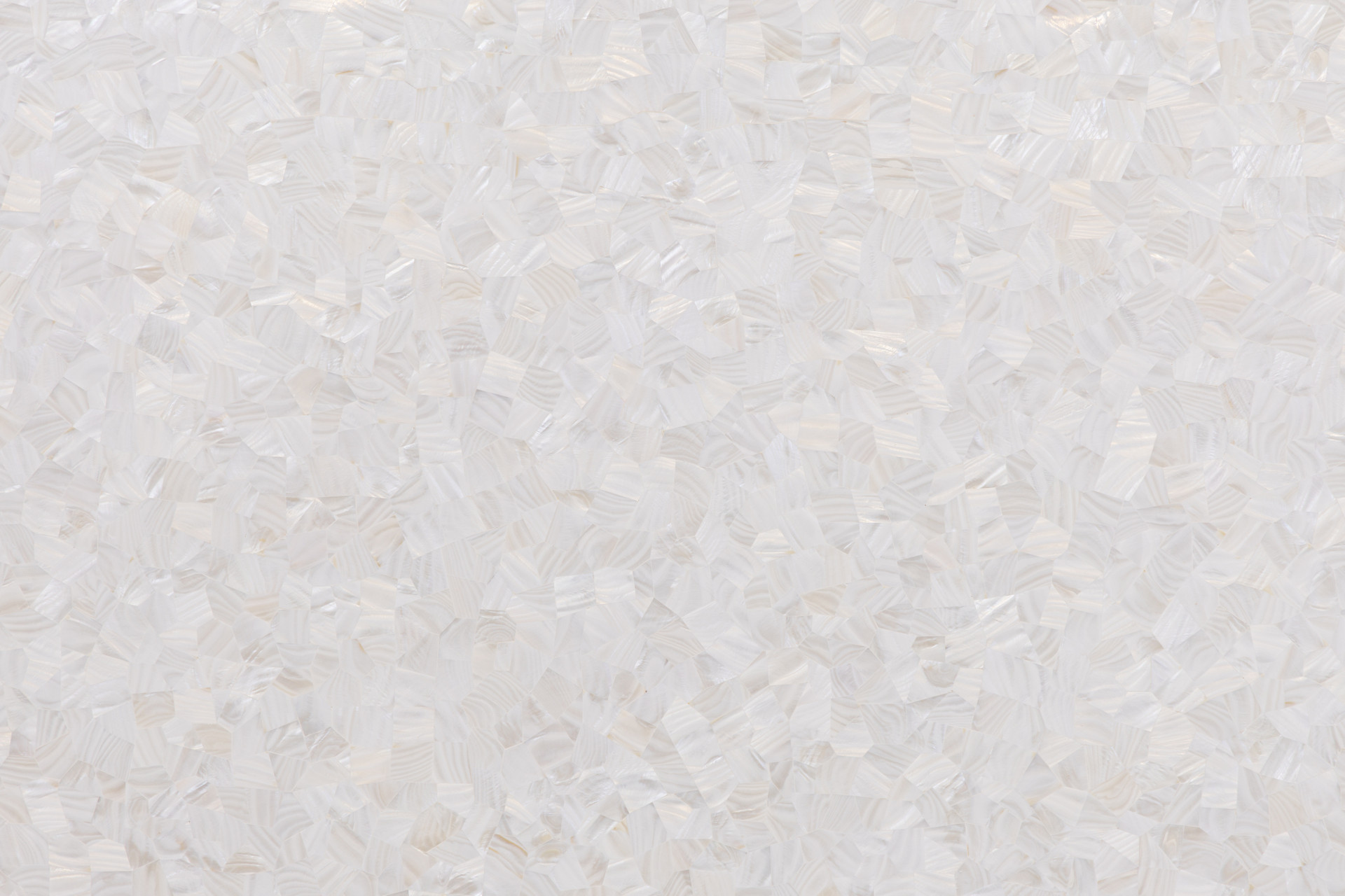 MOP Freshwater Shell