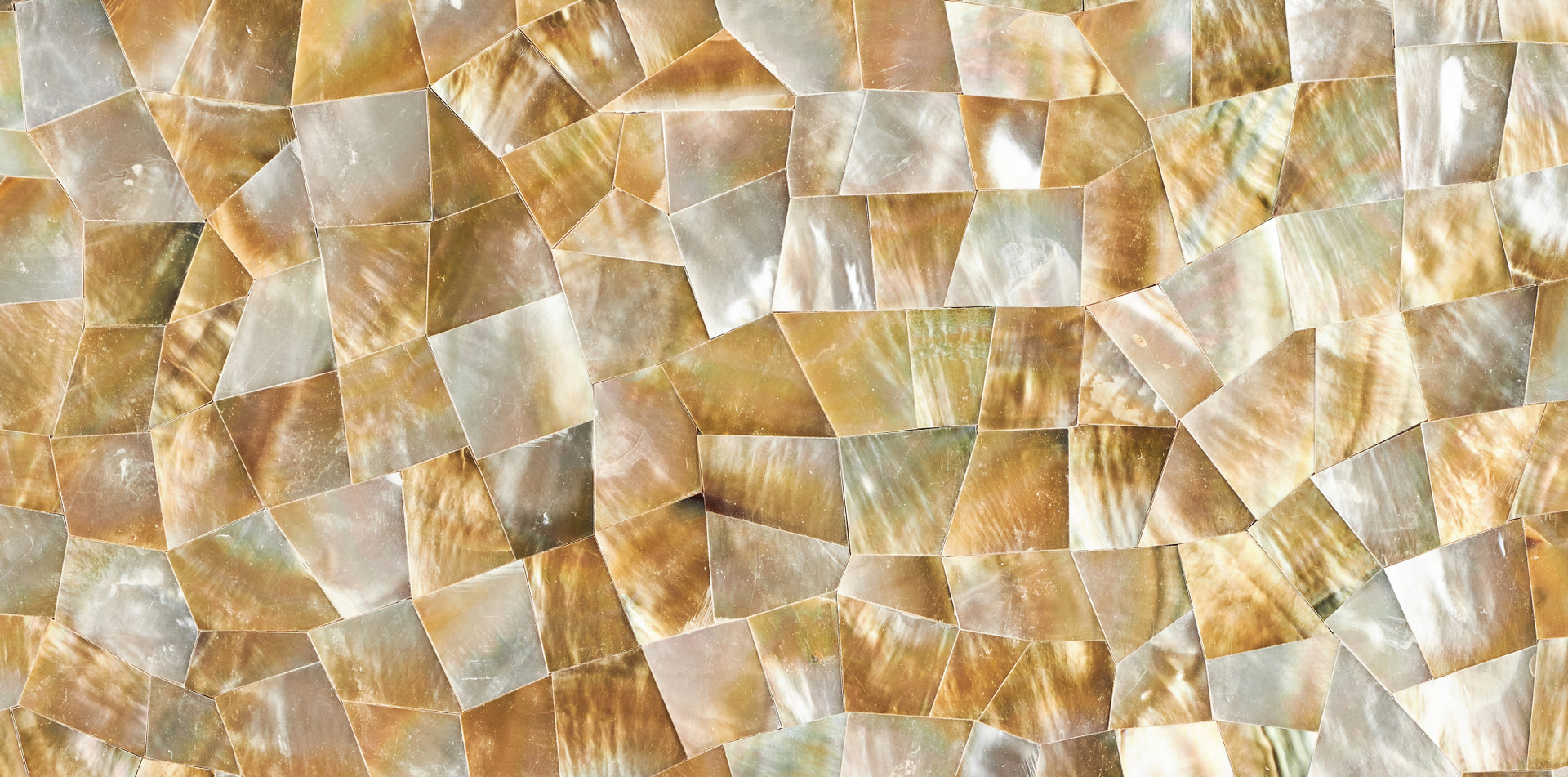 MOP Golden Shell